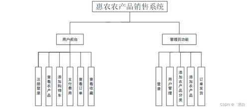 Java與JSP惠農(nóng)農(nóng)產(chǎn)品銷(xiāo)售系統(tǒng)規(guī)劃與實(shí)現(xiàn)——量身定制畢業(yè)設(shè)計(jì)策略